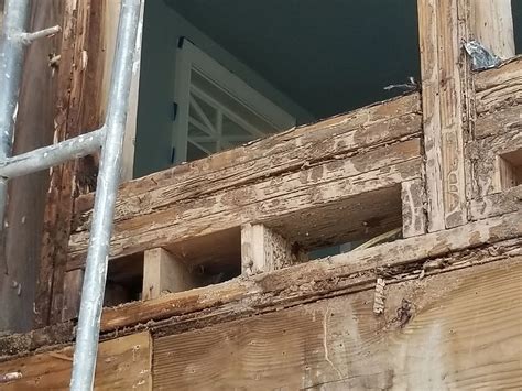 Charleston Termite Repair Specialists