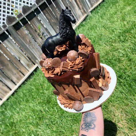 Chocolate covered horse cake #mandycakes | Horse cake, Chocolate