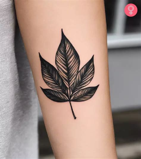 8 Best Leaf Tattoo Ideas Inspired By The Wonders Of Nature