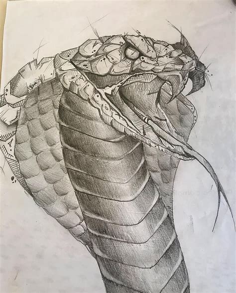 realistic snake drawing