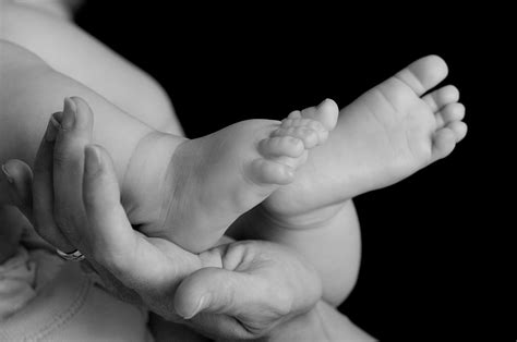 Hotels in leesburg va are booking up fast for the holidays 3