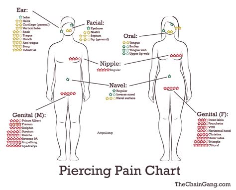 Piercing Charts to Help Save You From Painful Regrets