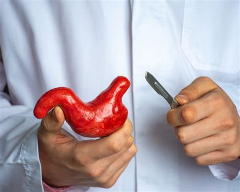 gastric sleeve finance  turkey  comprehensive guide global