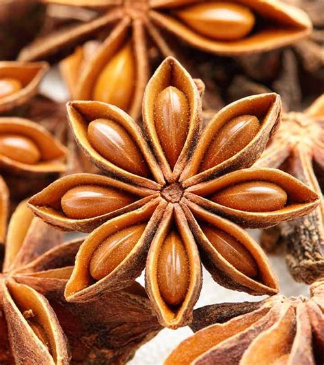 amazing benefits  anise seed skin hair  health