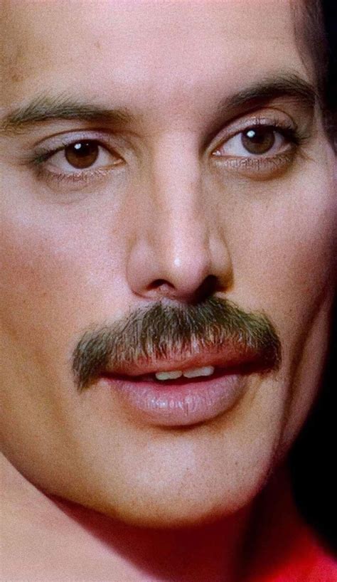 pin  luisa paradisi  freddie mercury  queen freddie mercury
