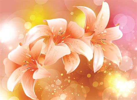 fancy colorful flowers background vector