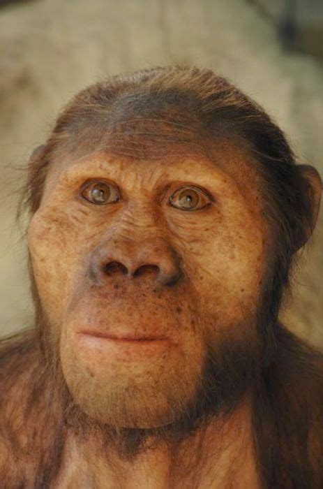 Australopithecus Afarensis Ancient People, Sasquatch, Reconstruction ...