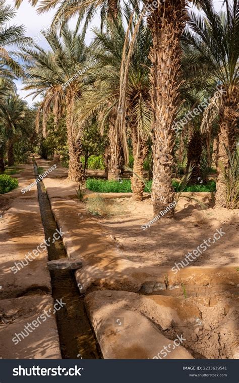 Typical African Oasis Sahara Desert Morocco Stock Photo 2233639541 ...