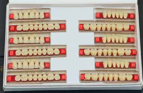 Synthetic Acrylic Teeth Set, For Laboratory, Model Name/Number: Health