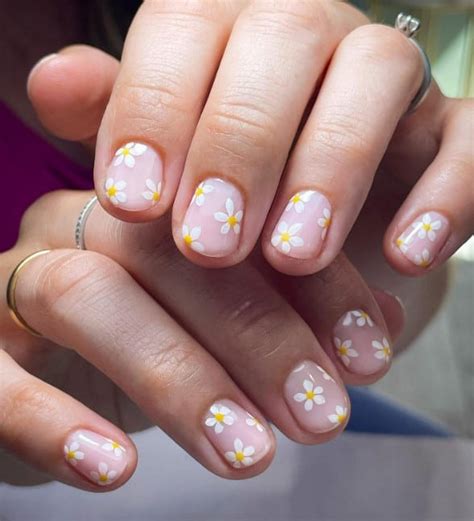 The Stunning Daisy Bloom Leak: A Photographic Journey You Won't Want to Miss - kbnyb2q