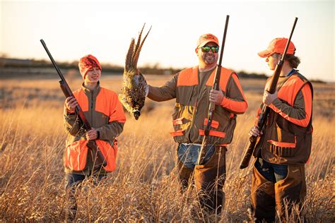 Pheasant E-Scouting Guide for Public Land Hunting | onX Hunt