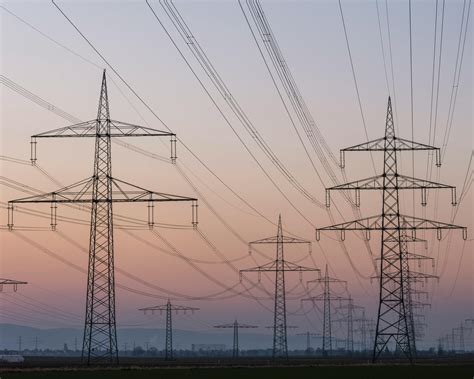 panel generator   review generator wisdom