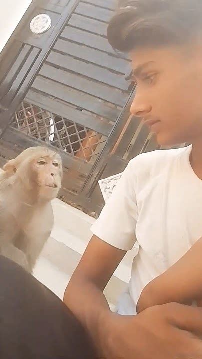 btharaya shivam pal rbl youtube