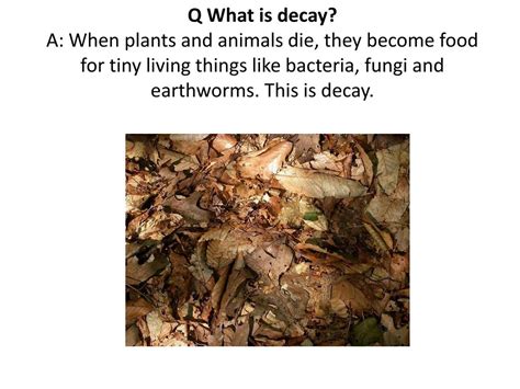 soil powerpoint    id
