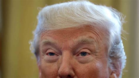 What Top Psychologists REALLY Think About Donald Trump's Cognitive Abilities Image 7