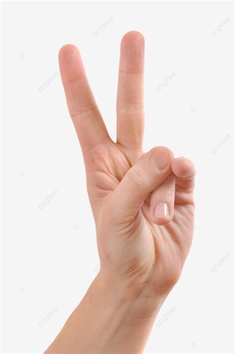 fingers sign silo  girl png transparent image  clipart