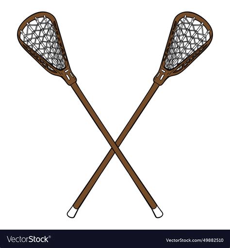 Lacrosse stick Royalty Free Vector Image - VectorStock