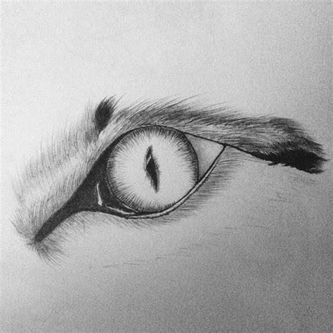 Wolf eye : drawing