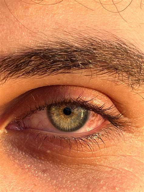 troll face green screen 8