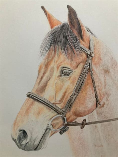 victoria newton animal victoria newton animal artist