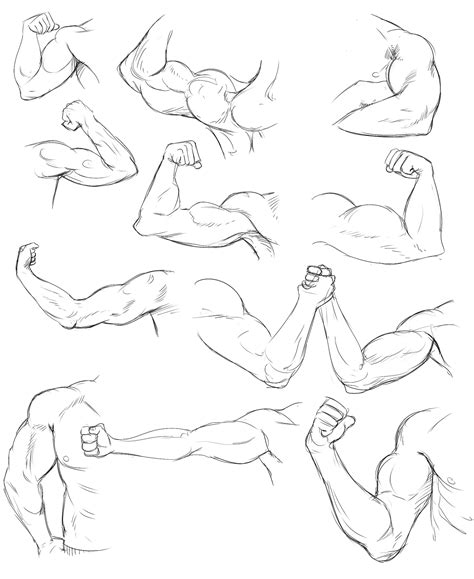 arm life drawing practice  temiree  deviantart