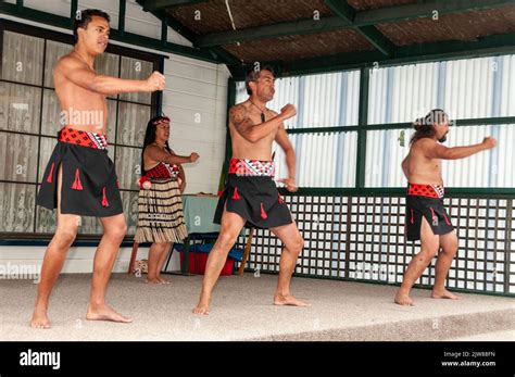 Exploring Haka: The Cultural Dance Education Experience for New Zealands Youth - Hunter Games Magazine