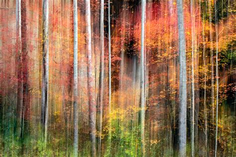 Painterly Abstract Motion Blur #3 Photograph by Bill Gozansky - Fine ...