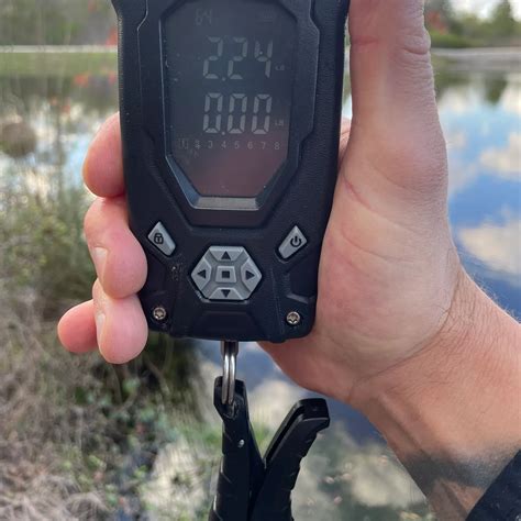 ᐅ Upchurch Lake fishing reports🎣• Fayetteville, NC (United States) fishing