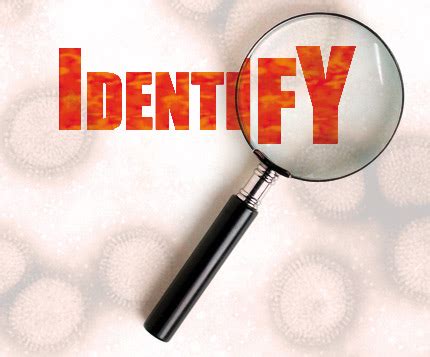 Identify - Miguel's ESL Portofolio
