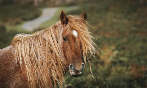 Discover | Eryri National Park