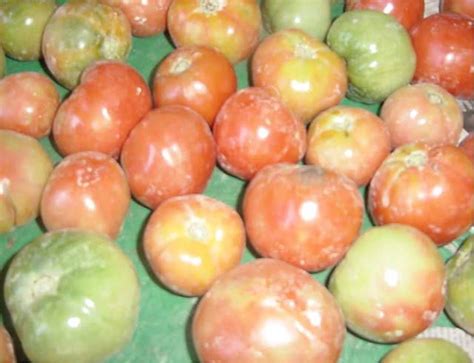 eco bristo  linkedin chemicalfreefoods healthyfoodsadvocacy