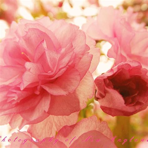 Photography of New England
