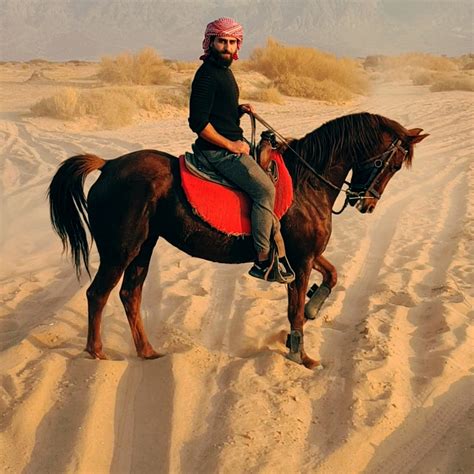 victoria travel tours petra