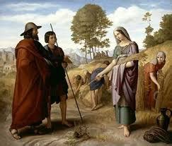 RUT 2:1-23 (PENDERITAAN RUT DAN SIKAP BOAS) - TEOLOGIA REFORMED