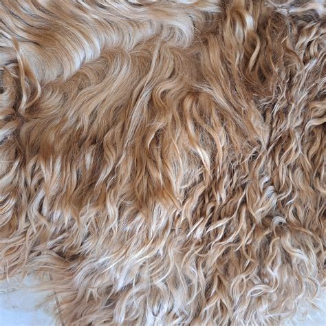 Dyed Goat Hair , Goat Hair on the Skin,natural Curls of Goats, for ...