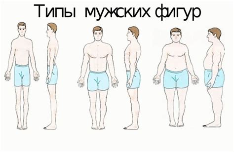 Типы телосложения мужчин: мезоморф, эндоморф, эктоморф