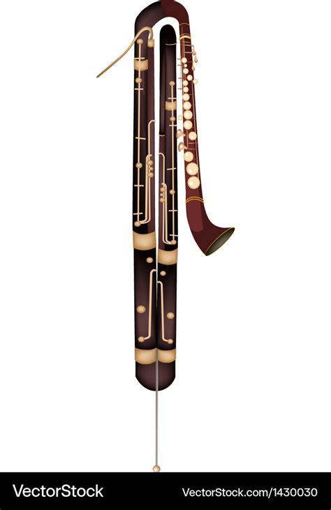 A classical contrabassoon Royalty Free Vector Image