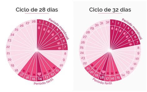 Qual O Dia Fertil Da Mulher - Período Fértil da Mulher - Saiba Como Calcular - Saúde & Conhecimento