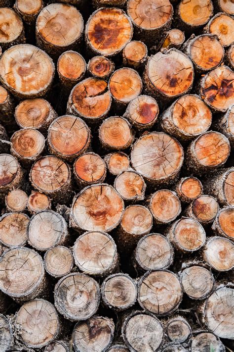 how to get rid of logs 5