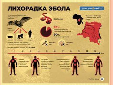Эбола және Марбург қызбаларының эпидемиологиялық сипаттамасы ...