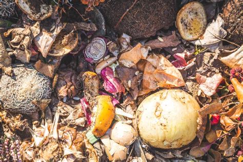 organic waste concept close   composting vegetables  fruits