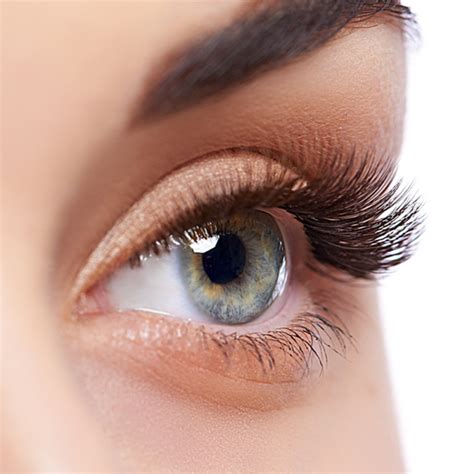 Eyelash Certification Course Los Angeles