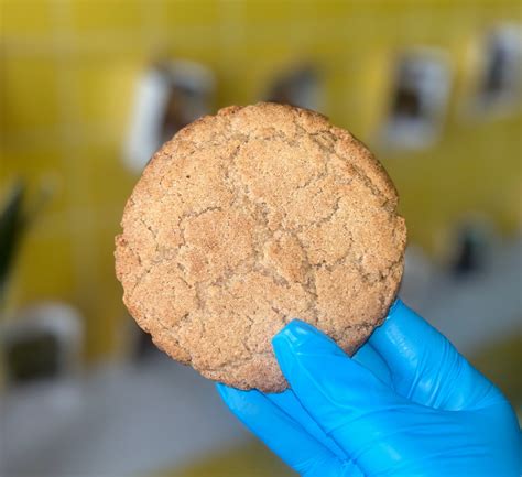 Snickerdoodle Cookie - Shipping | New NB Site