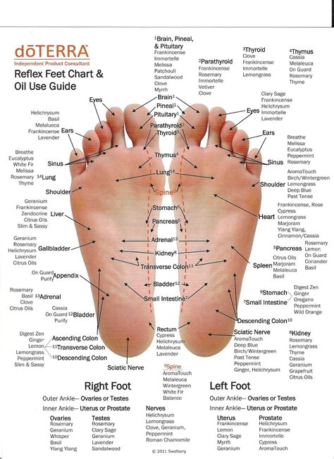 Ear Reflexology All Charts And Points Ear Reflexology Reflexology | Hot ...