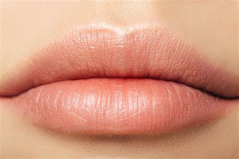 youthful lips tips shape  lips    life simile