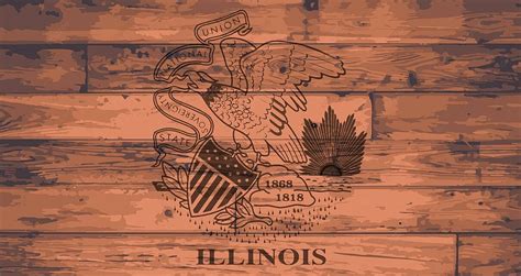 Illinois Flag Brand Usa Vector American Vector, Usa, Vector, American PNG and Vector with ...