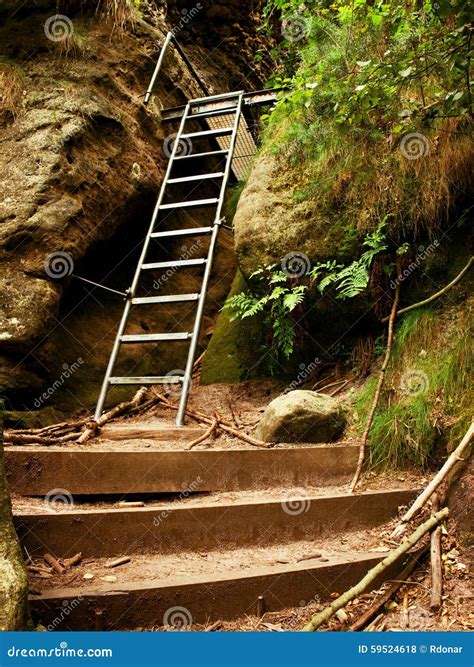 Ladder Stair Climbing On Mountain Via Ferrata Royalty-Free Stock Image