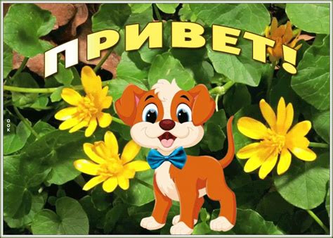 Новая открытка привет | Открытки Онлайн