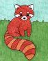 easy   draw  red panda tutorial  coloring page