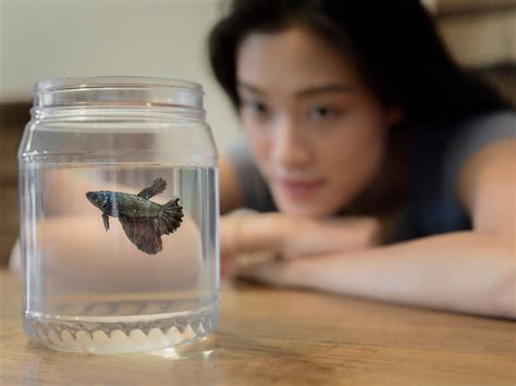 Find your dream boat at the 2025 Utah Boat Show & Watersports Expo Jan